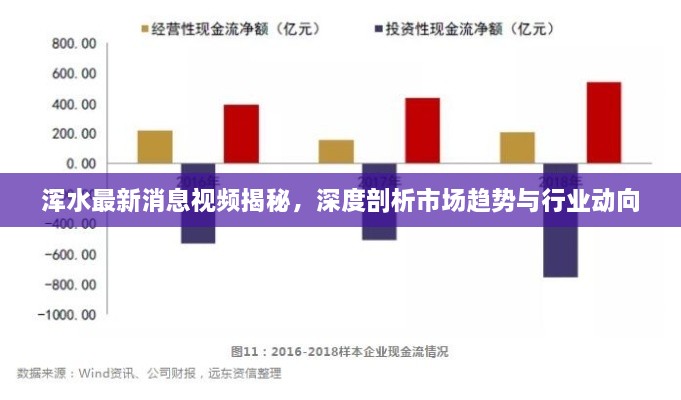 浑水最新消息视频揭秘，深度剖析市场趋势与行业动向