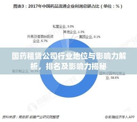 国药租赁公司行业地位与影响力解析，排名及影响力揭秘