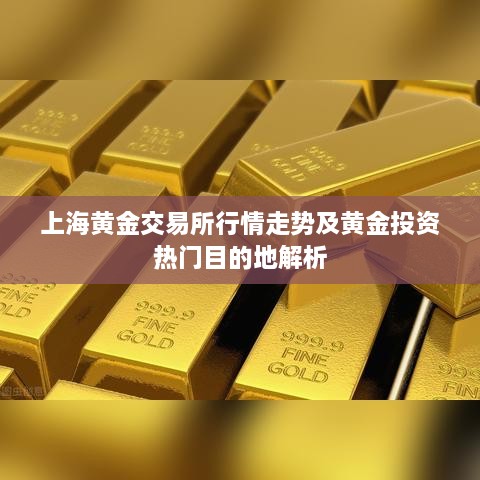 上海黄金交易所行情走势及黄金投资热门目的地解析