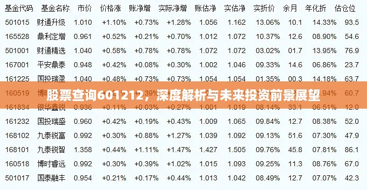 股票查询601212，深度解析与未来投资前景展望