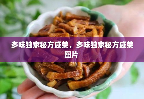 多味独家秘方咸菜，多味独家秘方咸菜图片 