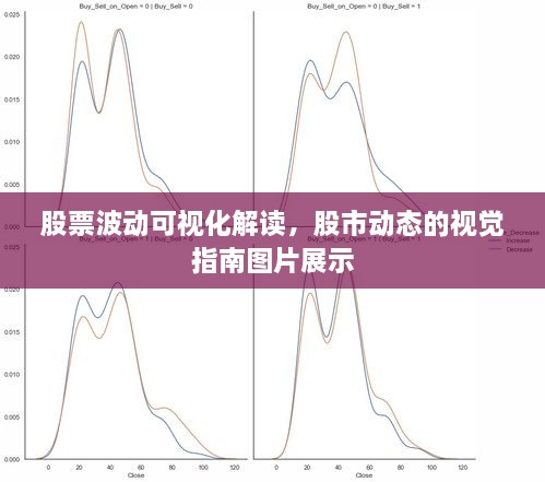 股票波动可视化解读，股市动态的视觉指南图片展示