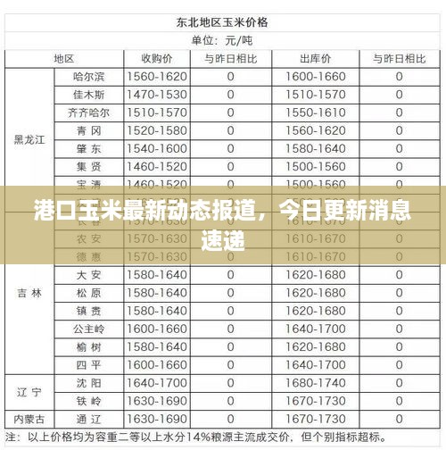 港口玉米最新动态报道，今日更新消息速递