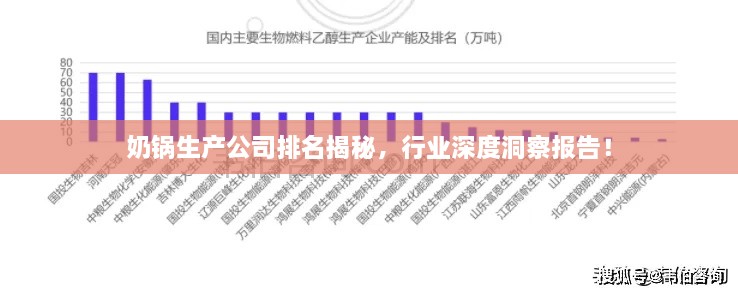 奶锅生产公司排名揭秘，行业深度洞察报告！