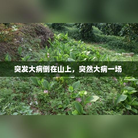 突发大病倒在山上，突然大病一场 