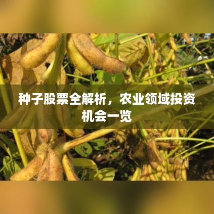 种子股票全解析，农业领域投资机会一览